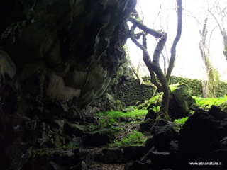 conco di Liricio-24-03-2013 10-29-38